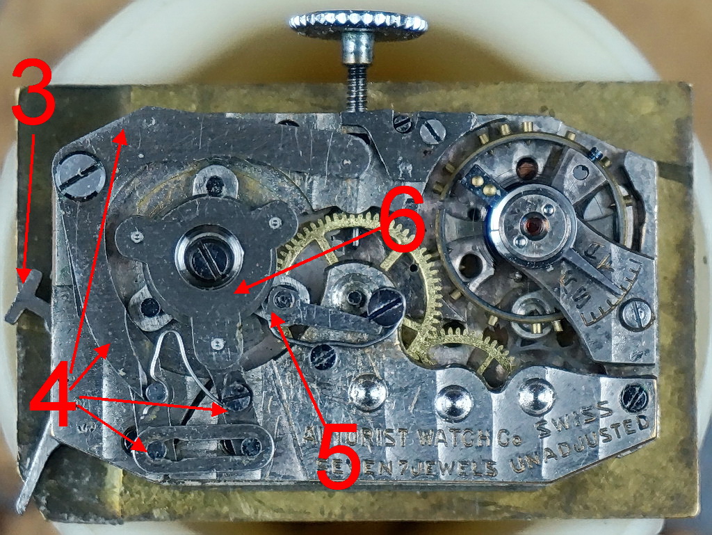 Fortis Autorist movement